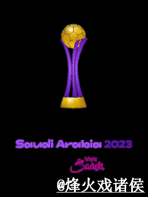 2026世界杯官方网站入门指南，最新地址与真假辨别说明